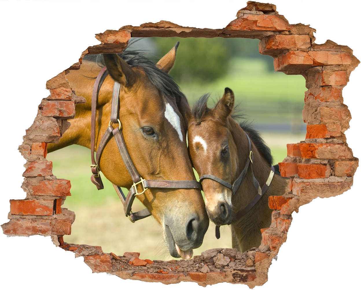 

Fototapeta 3D Konie Klacz Źrebak Dziura W Ścianie