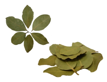 LIŚĆ LAUROWY 50g WYSOKA JAKOŚĆ Kod producenta LIŚĆ LAUROWY