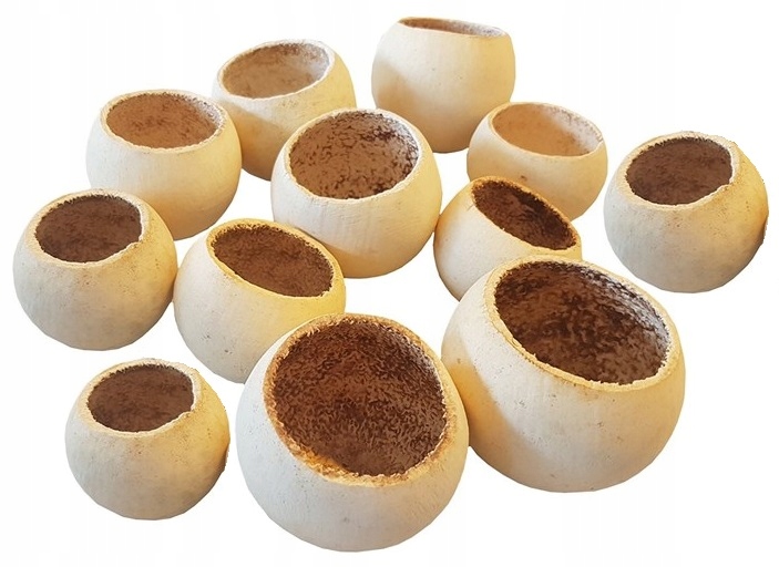 

Bell Cup Wybielany 5-7 CM Biały 10 Szt Susz Święta