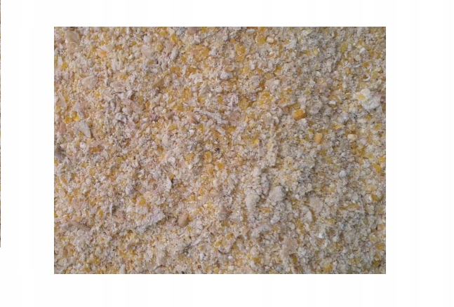 

Kukurydza Mielona karma pasza zanęta