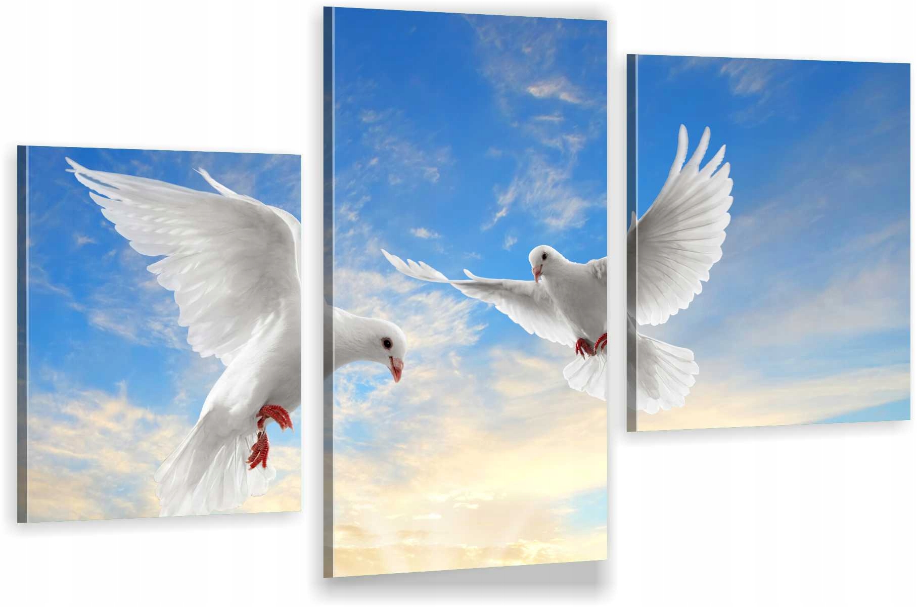 

Tryptyk Obraz Na Płótnie Do Salonu Gołębie Ptaki