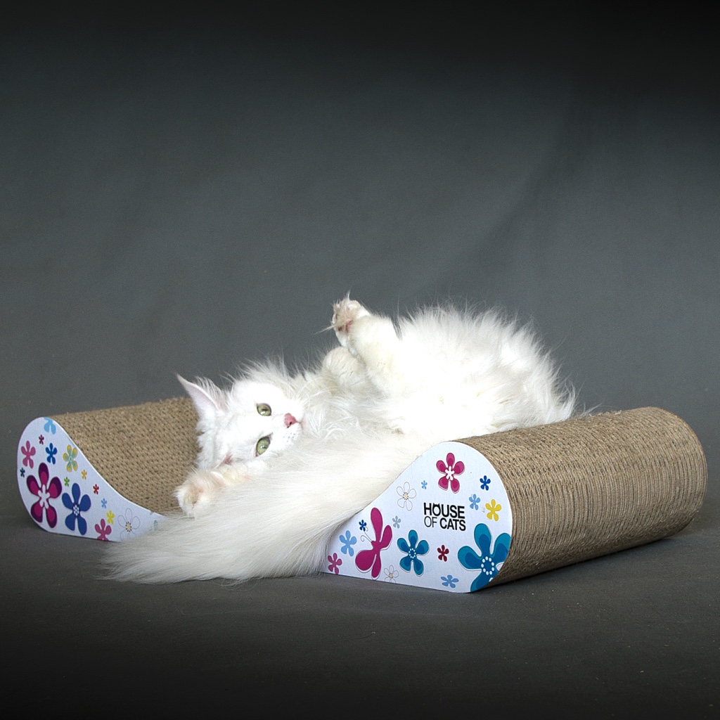 Levně Kartonové škrabadlo a škrabadlo od House of Cats