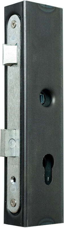 

Kaseta Z Zamkiem Zamek Do Bramy Furtki 60x40 mm