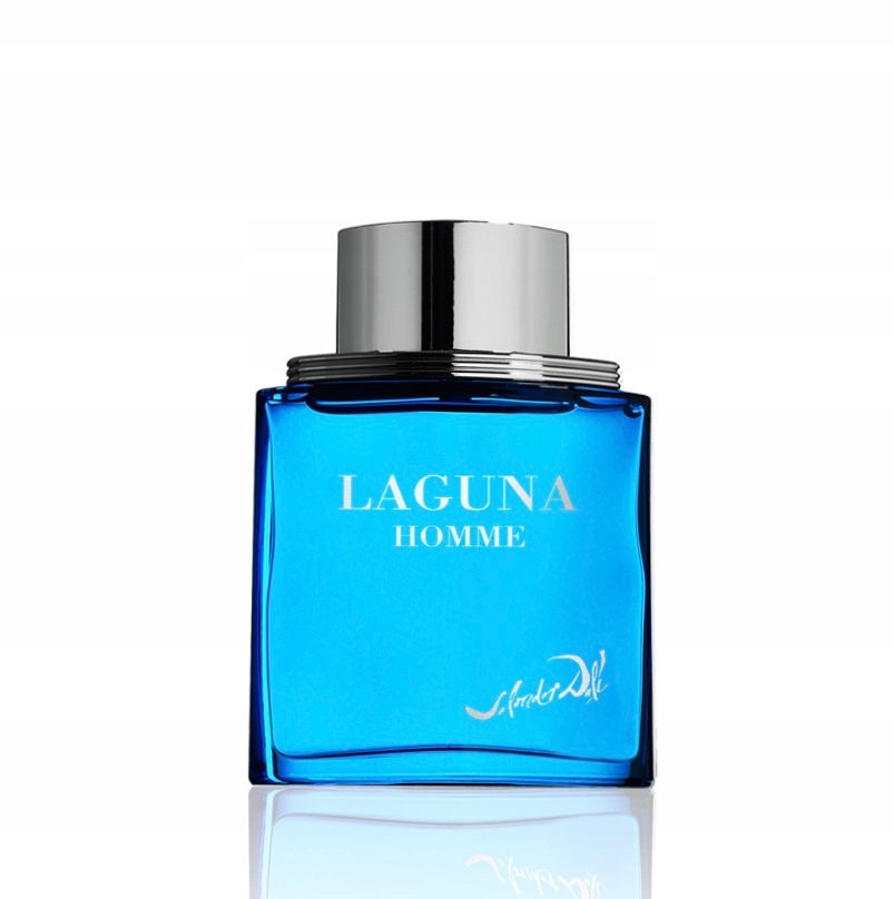 SALVADOR DALI LAGUNA HOMME EDT 100 ML
