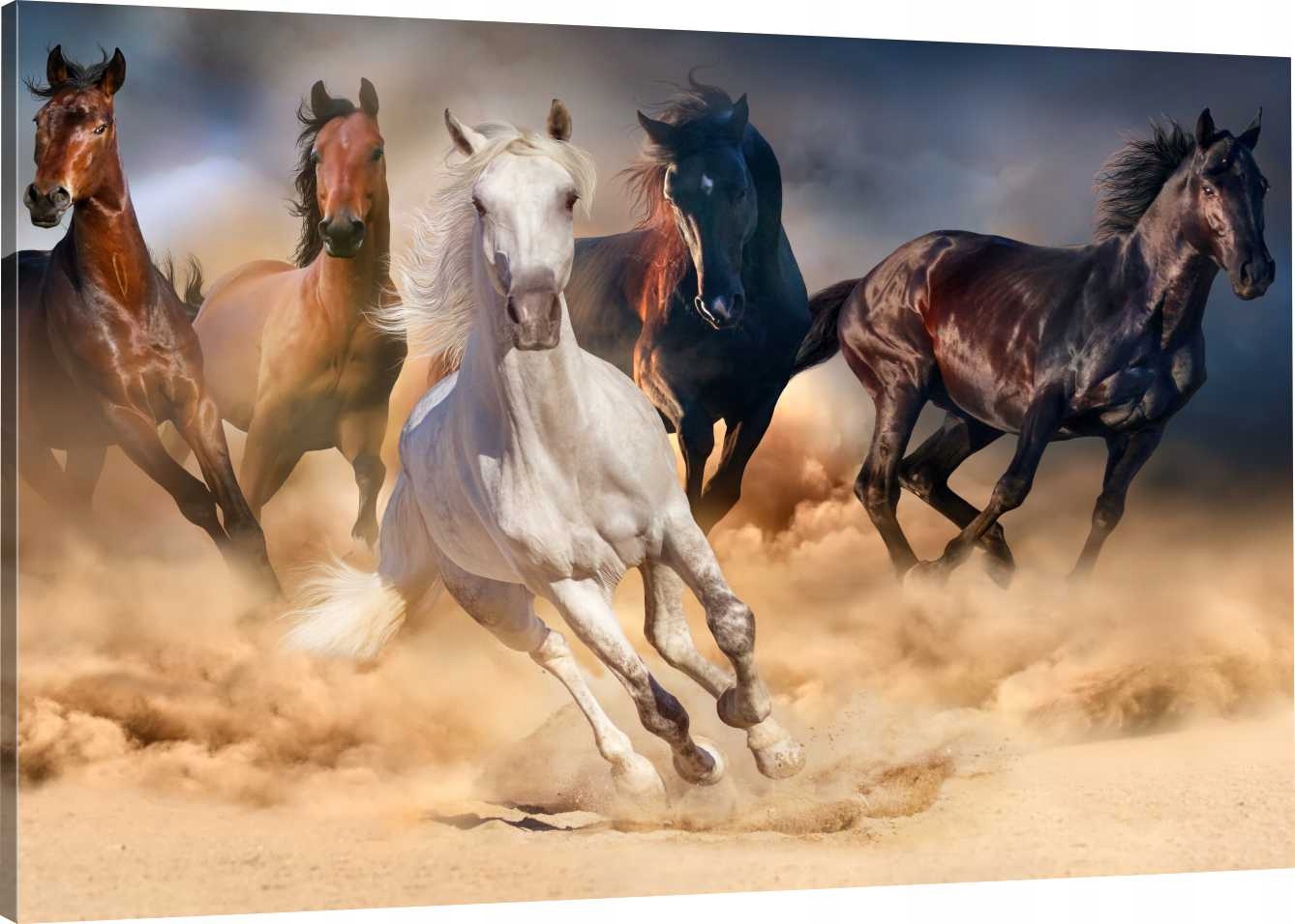 

Obraz Na Płótnie Konie Galop Stado 120x80 980 Wz
