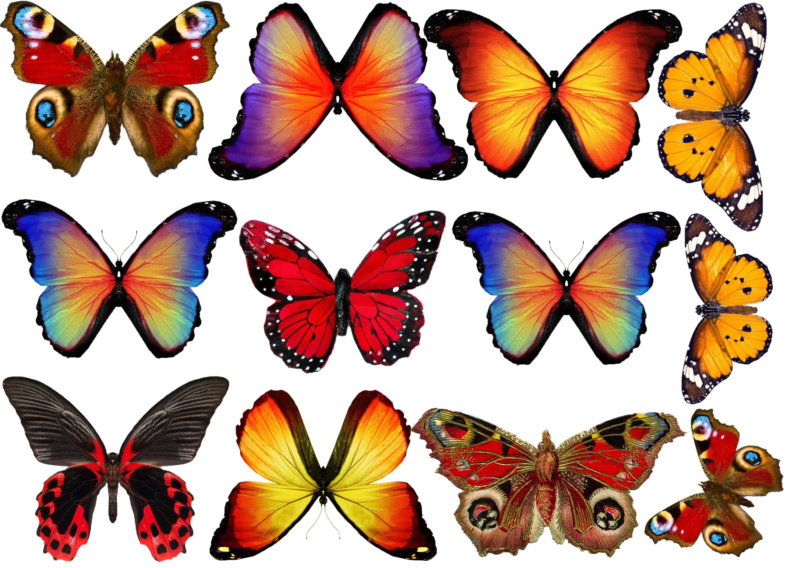 Произведение разноцветные бабочки. Бабочки цветные. Бабочки для вырезания цветные. Бабочки красивые цветные. Красивые разноцветные бабочки.