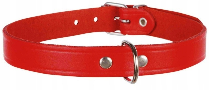 

Obroża Skórzana Skóra Psa M 37-43cm 18mm TX19343