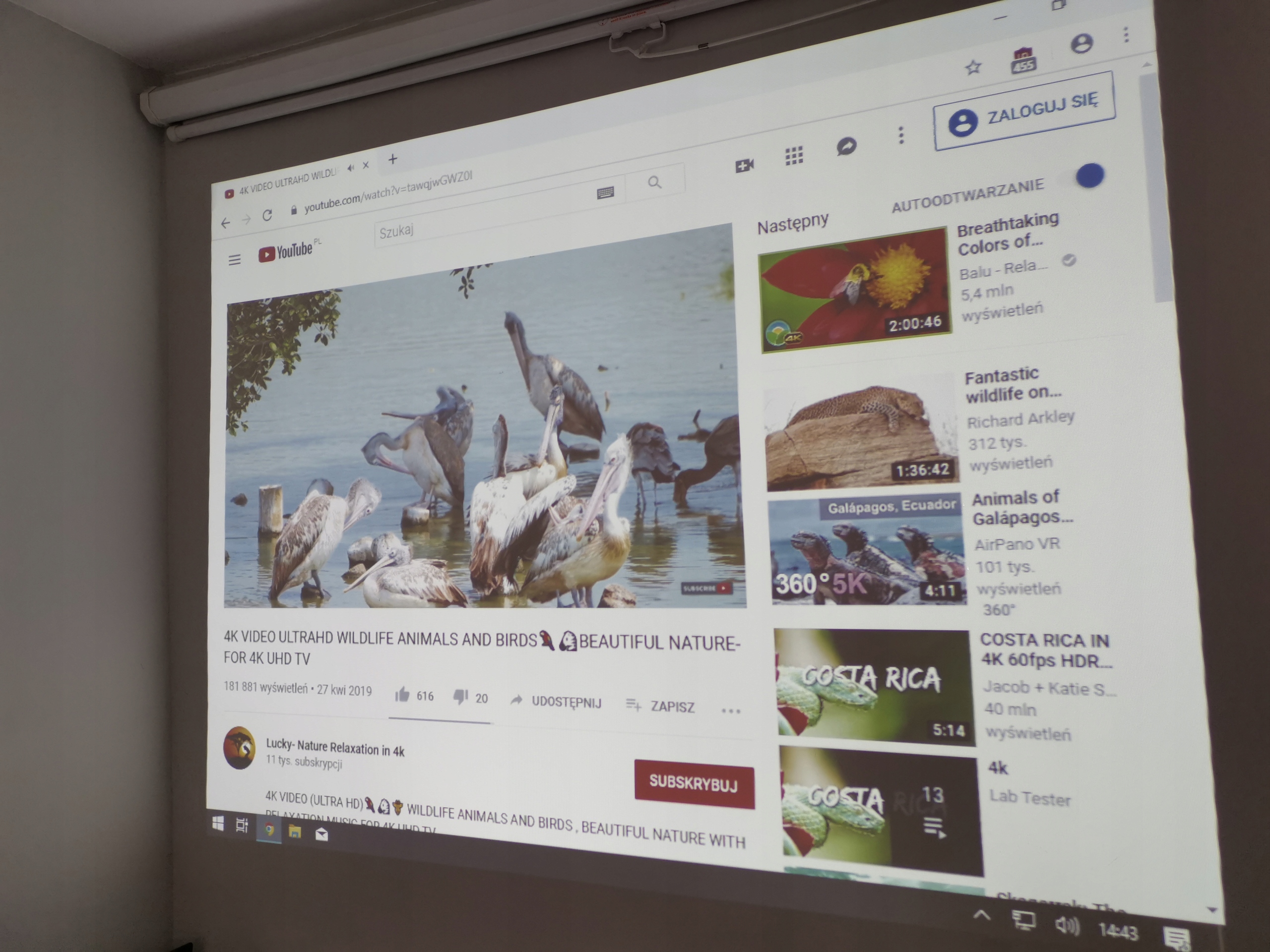 PROJEKTOR RZUTNIK MITSUBISHI XD221U hdmi 2300lm Technologia wyświetlania DLP