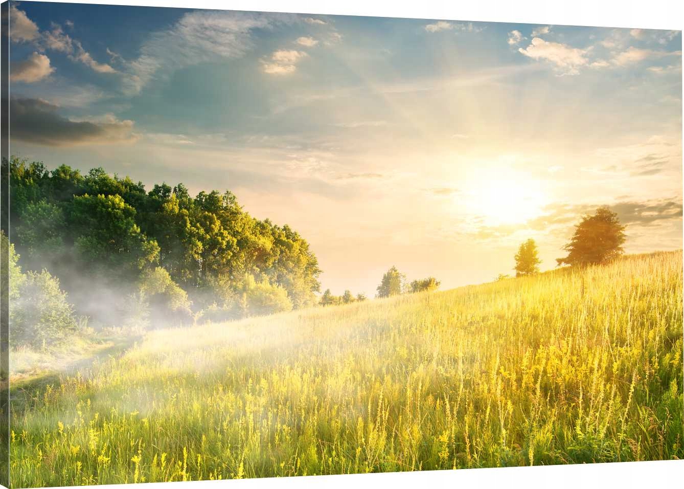 

Obraz Na Płótnie Słońce Zieleń Natura 90x60 980 Wz