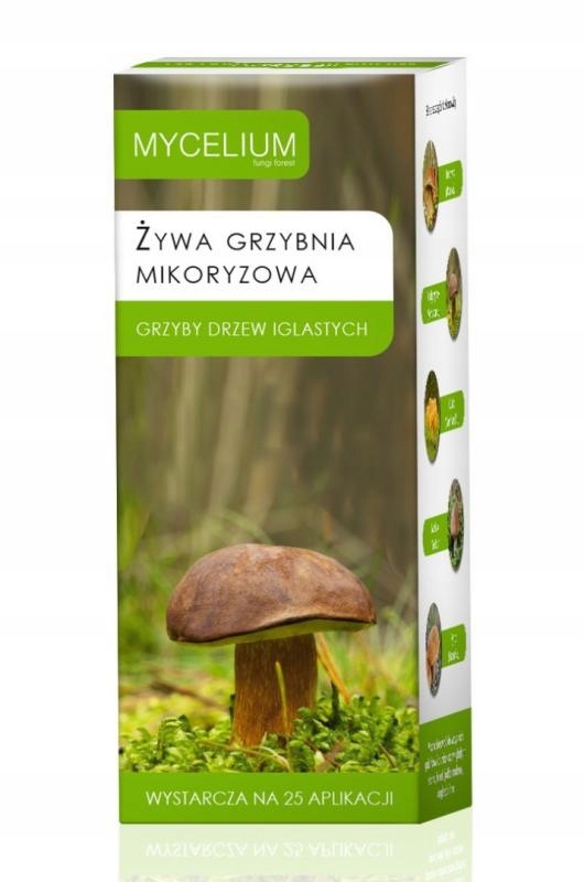 

Żywa Grzybnia Iglaste Borowik Maślak Rydz Kurka