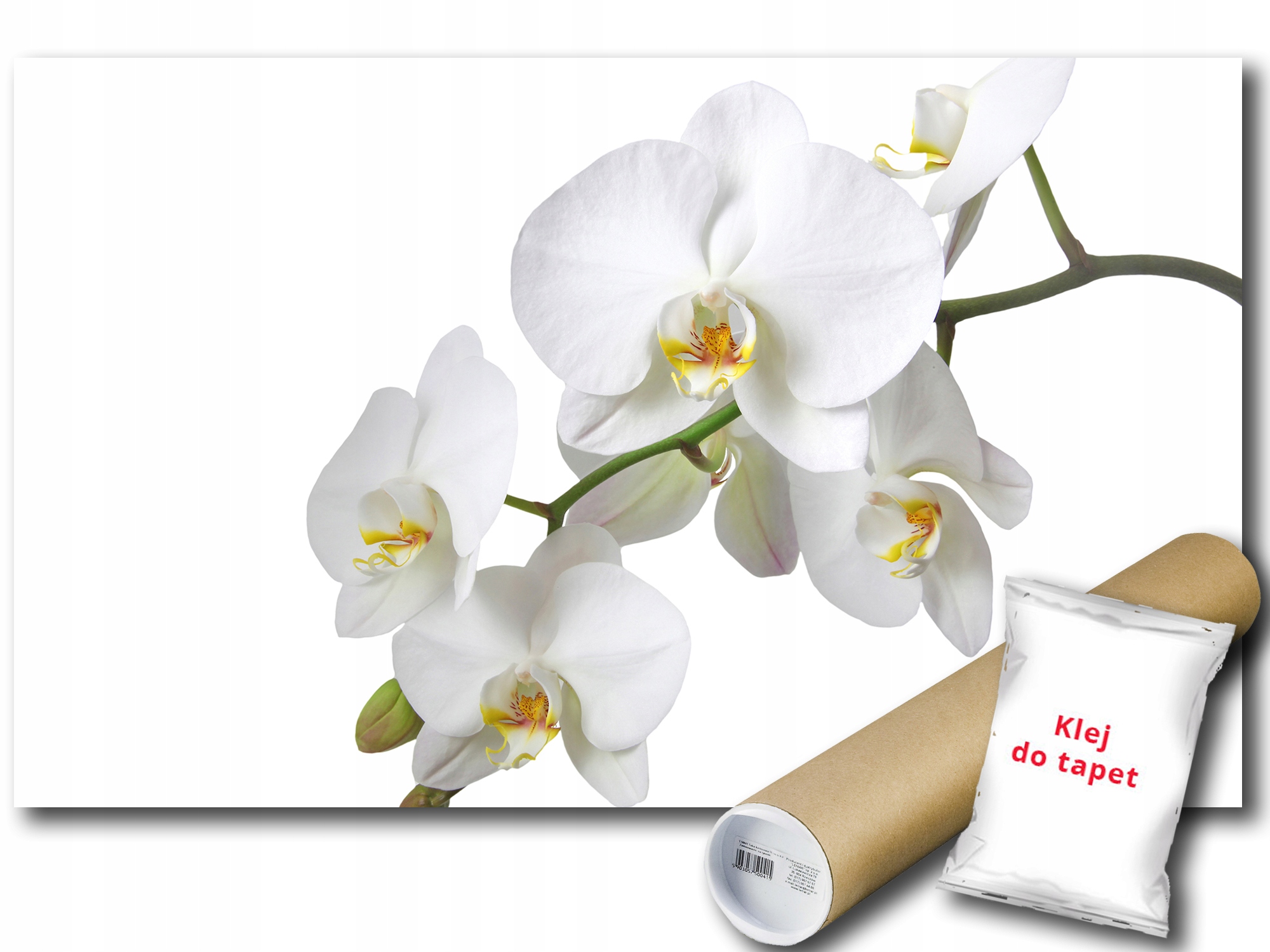 Fototapeta Orchidea Orchidea 9D F2XL 312x219 F737