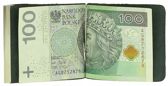 SKÓRZANA BANKNOTÓWKA PORTFEL NA BANKNOTY KOLORY Kolor niebieski