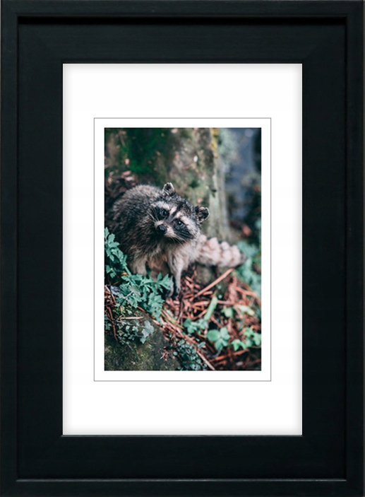 

Ramka Na Zdjęcia Czarna Rama A4 21x30 CM