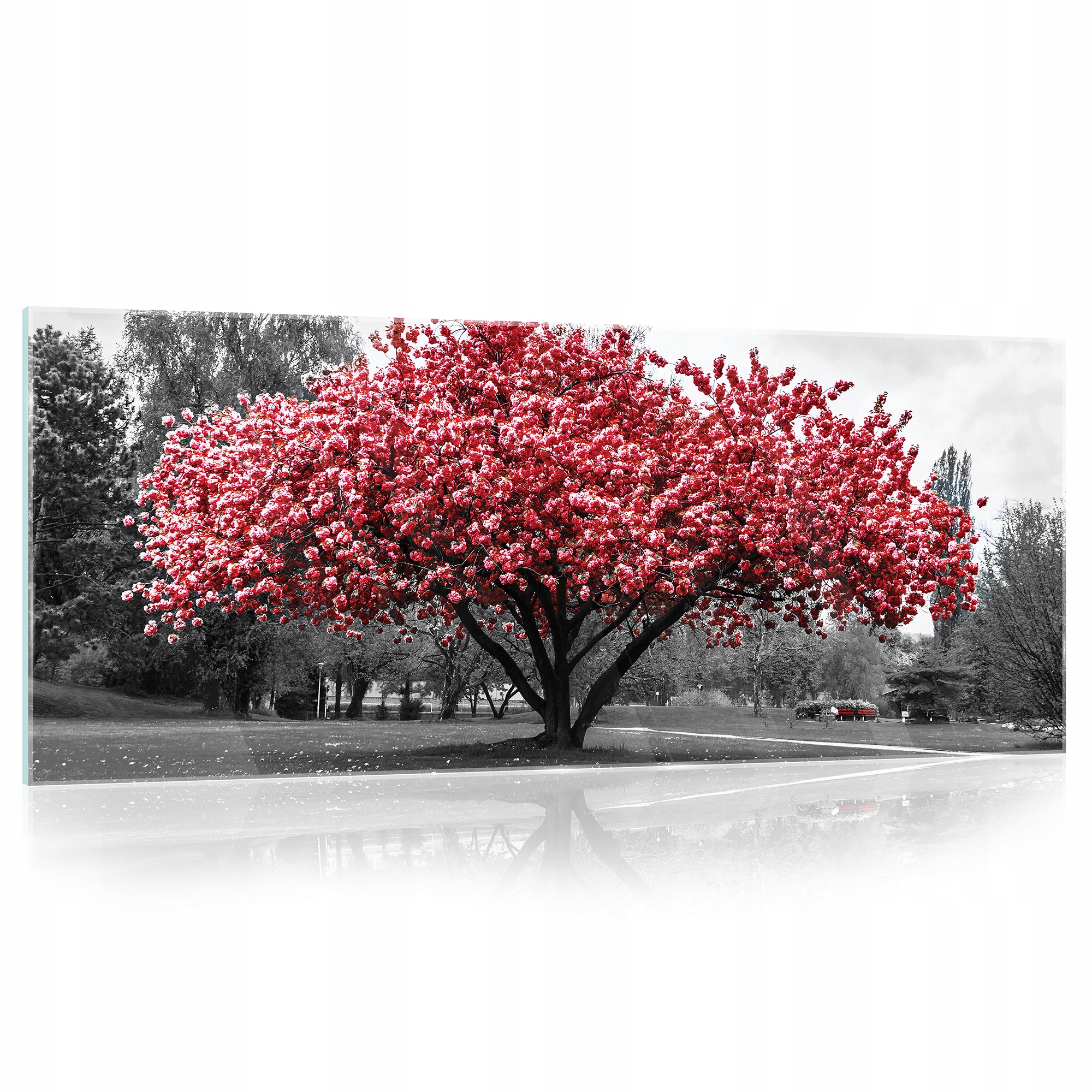 Skleněný obraz Dřevo Listy příroda 125x50