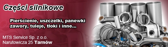 Steyr WD615 WD815 panewki główne STD Numer katalogowy części 605504000