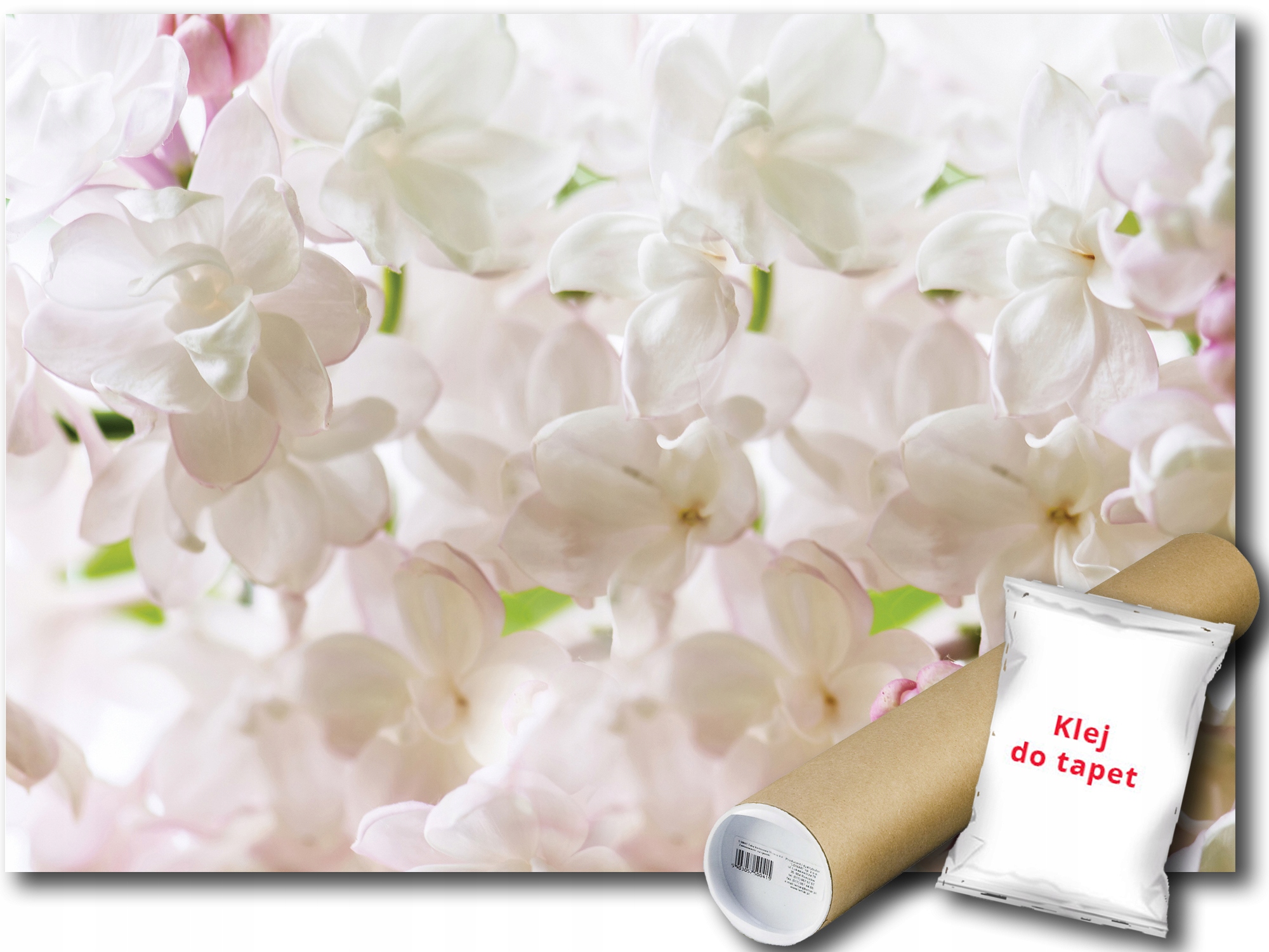 Fototapeta Bílé Květy 9E F4XL 416x290 F3598