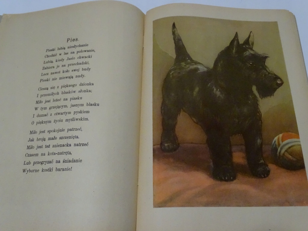 PRZYJACIELE JÓZEF BIRKENMAJER WEGNER Okładka miękka