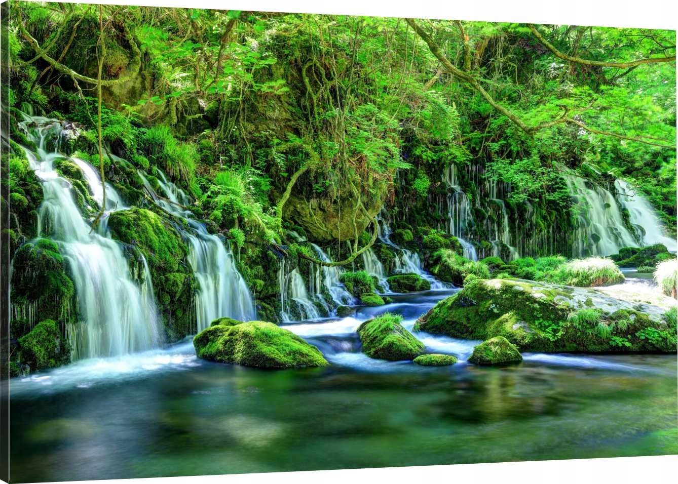 

Obraz Na Płótnie Zieleń Wodospady 90x60 980 Wz