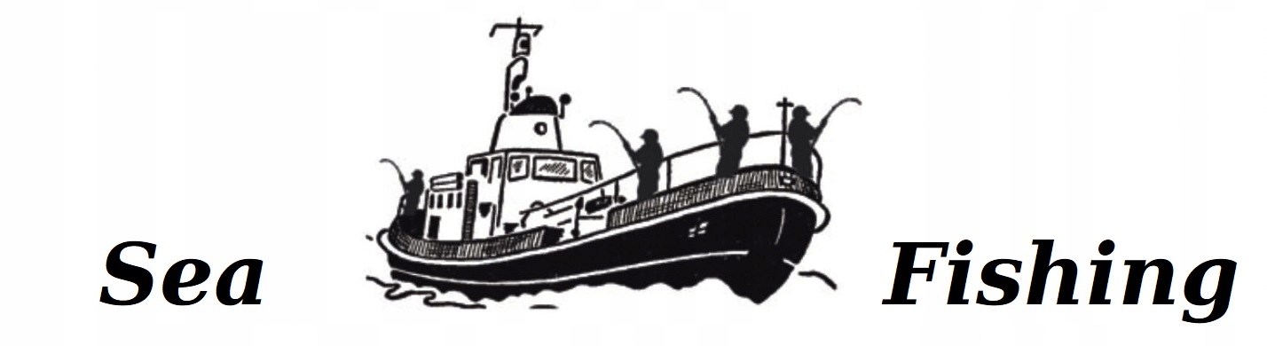 4 X DORSZ PILKER PERFEKT LING - MOLWA 80gr s.B Kod producenta 4PPLM80SB