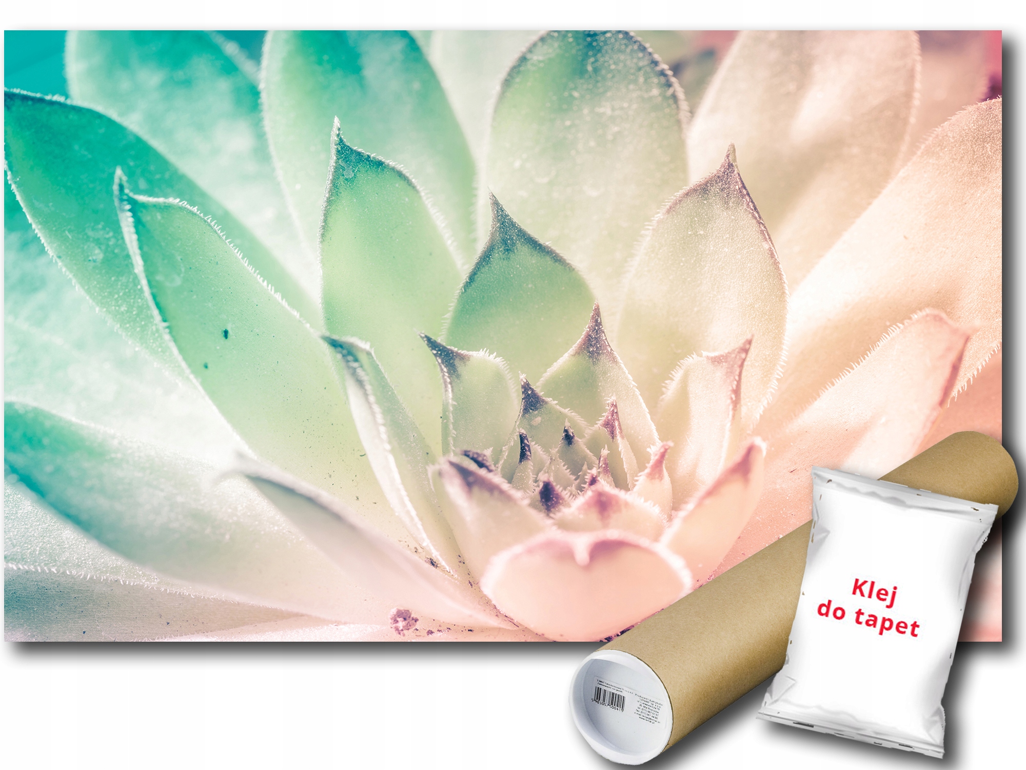 Fototapeta Květ Lotosu 9E V4 254x184 F3119