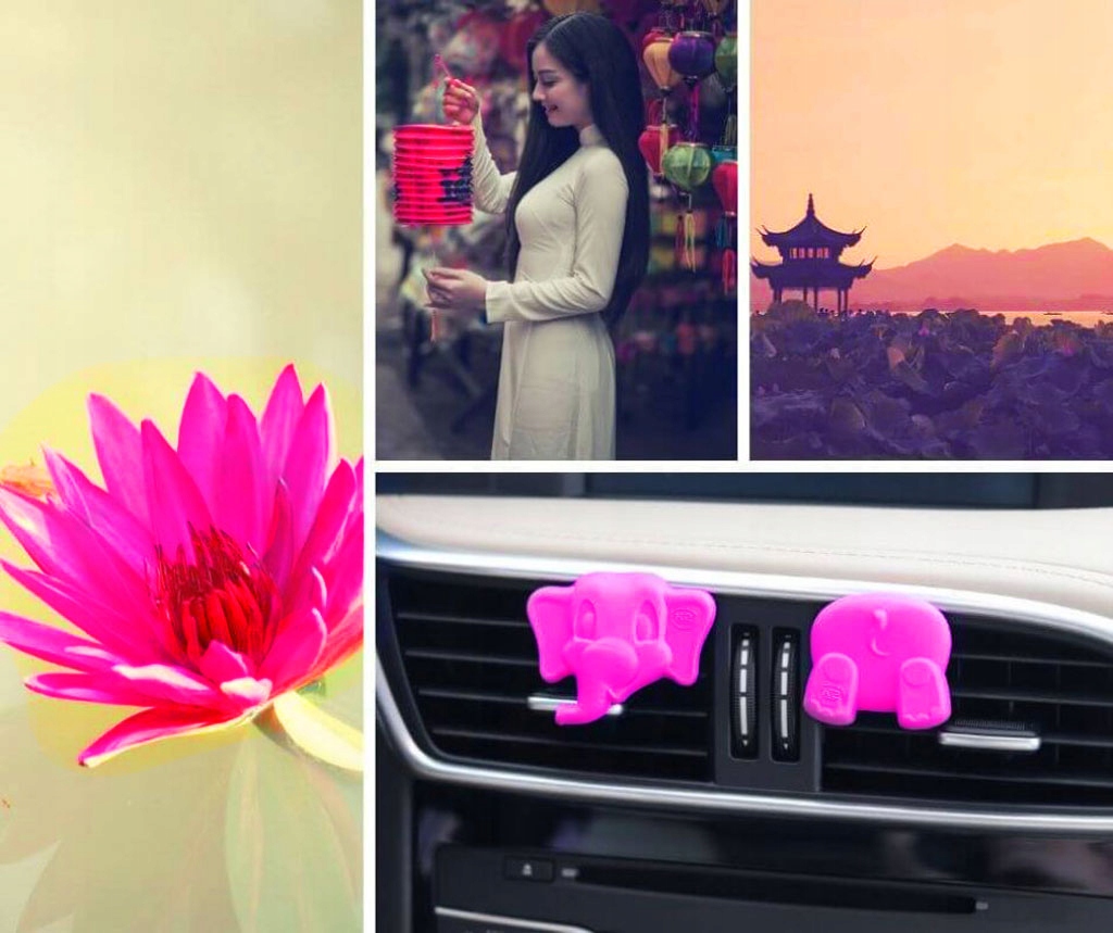 K2 ARLO SŁONIK RELAKSUJĄCY ZAPACH LOTUS W KRATKĘ Rodzaj atomizery