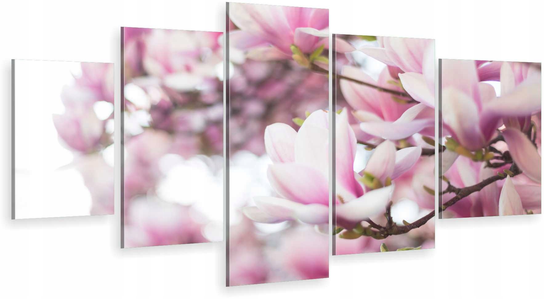 

Tryptyk 5-CZĘŚCI Na Ścianę Kwiaty Magnolii 980 Wz