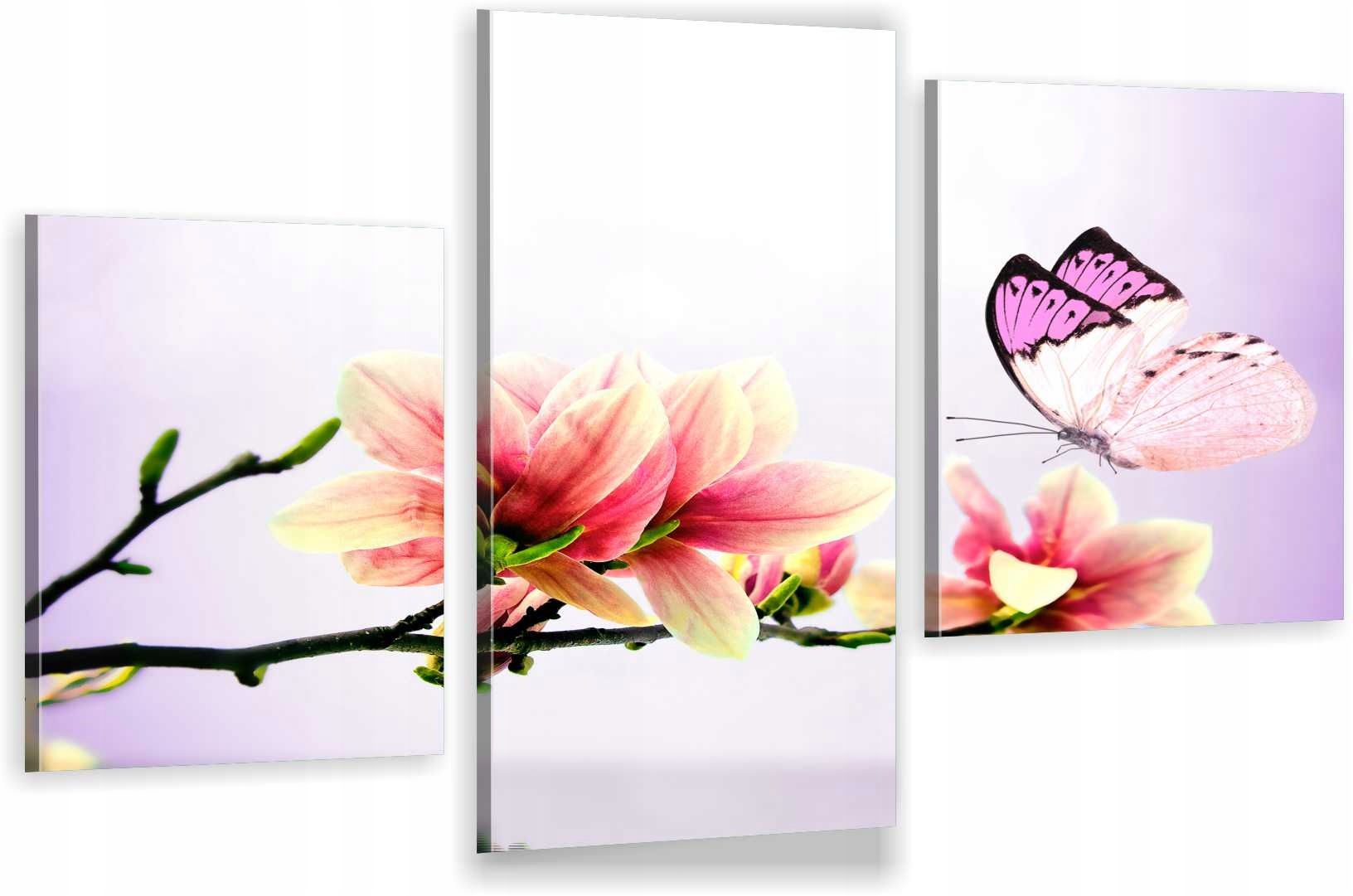 

Tryptyki Obraz Na Ścianę Magnolia Motyl 800 Wzorów