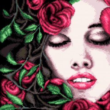 Výšivka křížová sada, kanva+mulina+jehly, 35x35