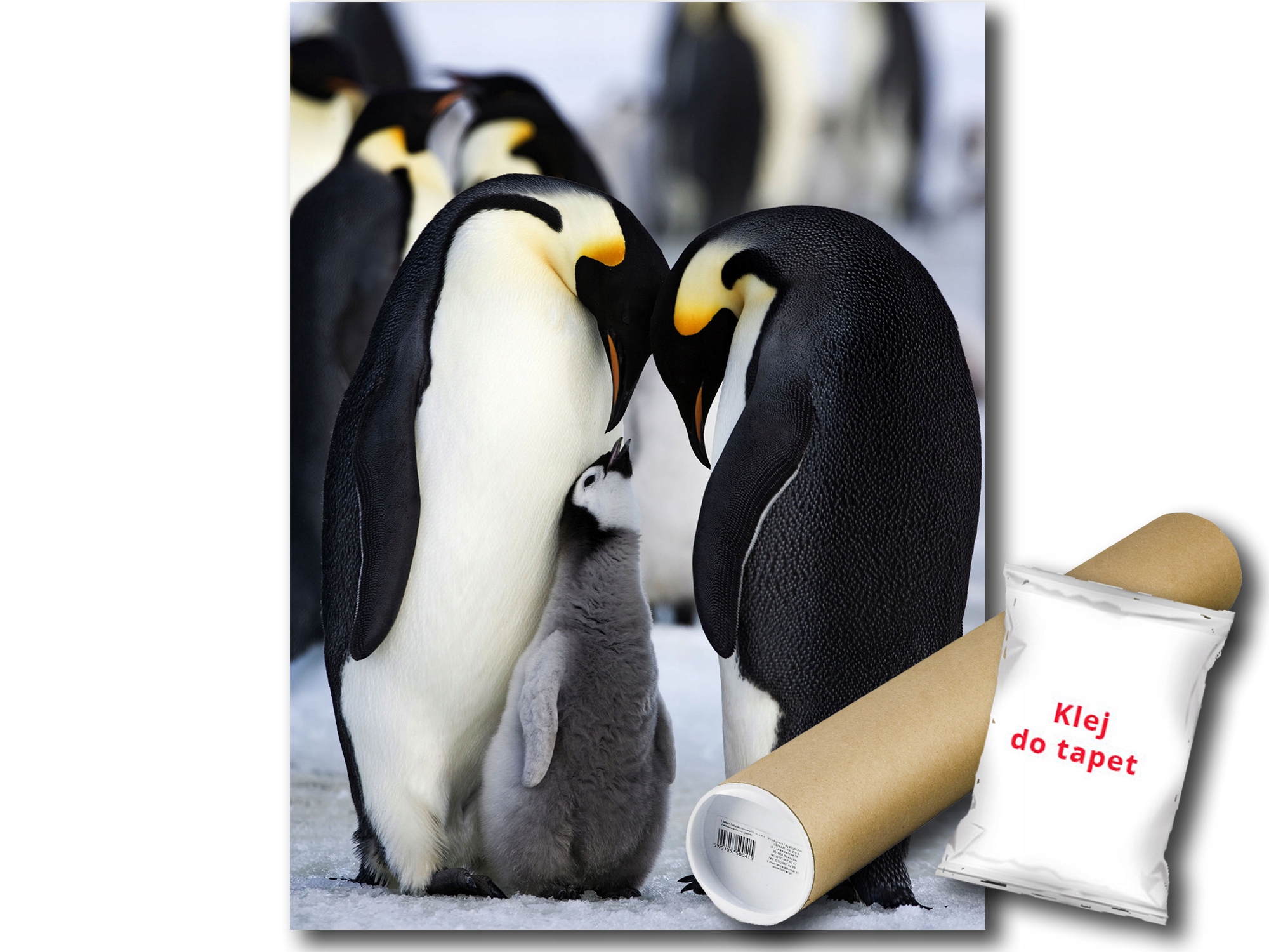 Fototapeta Tučňáci 12C Panxl 206x275 F2735