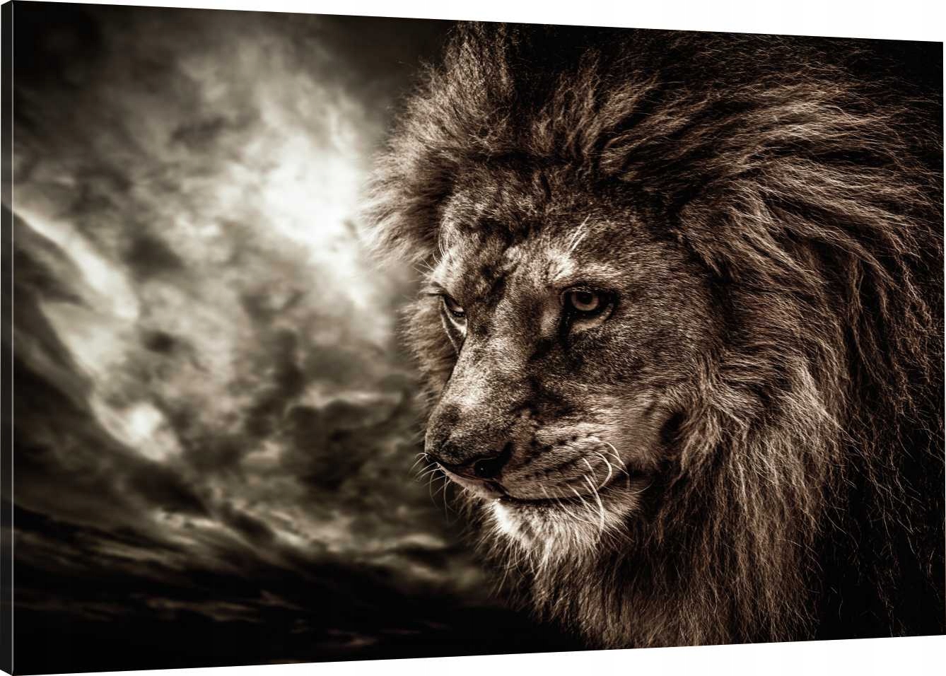 

Obraz Na Płótnie Król Lew 70x50 980 Wzorów