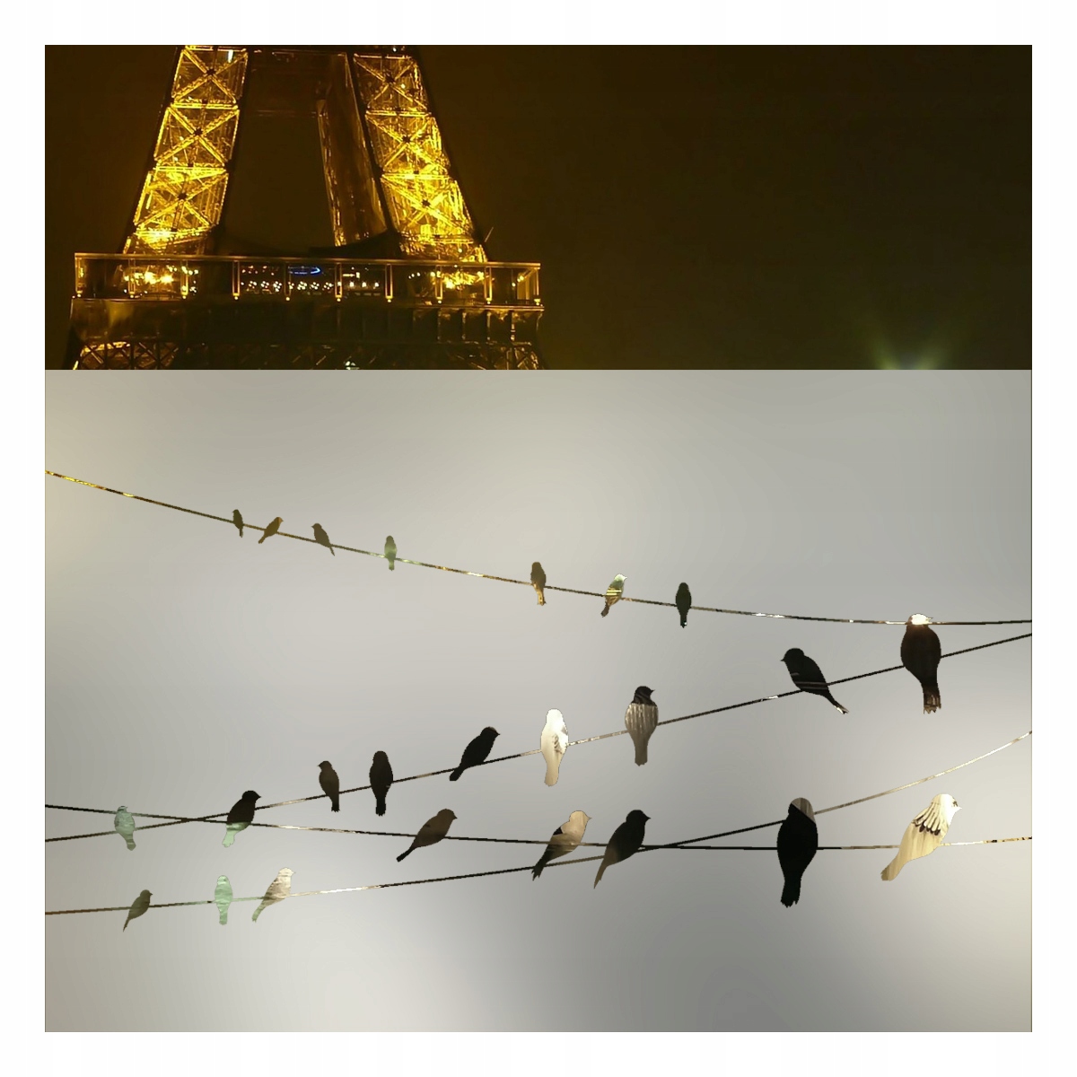 

Naklejka folia Matująca Piaskowane szkło Zazdroska