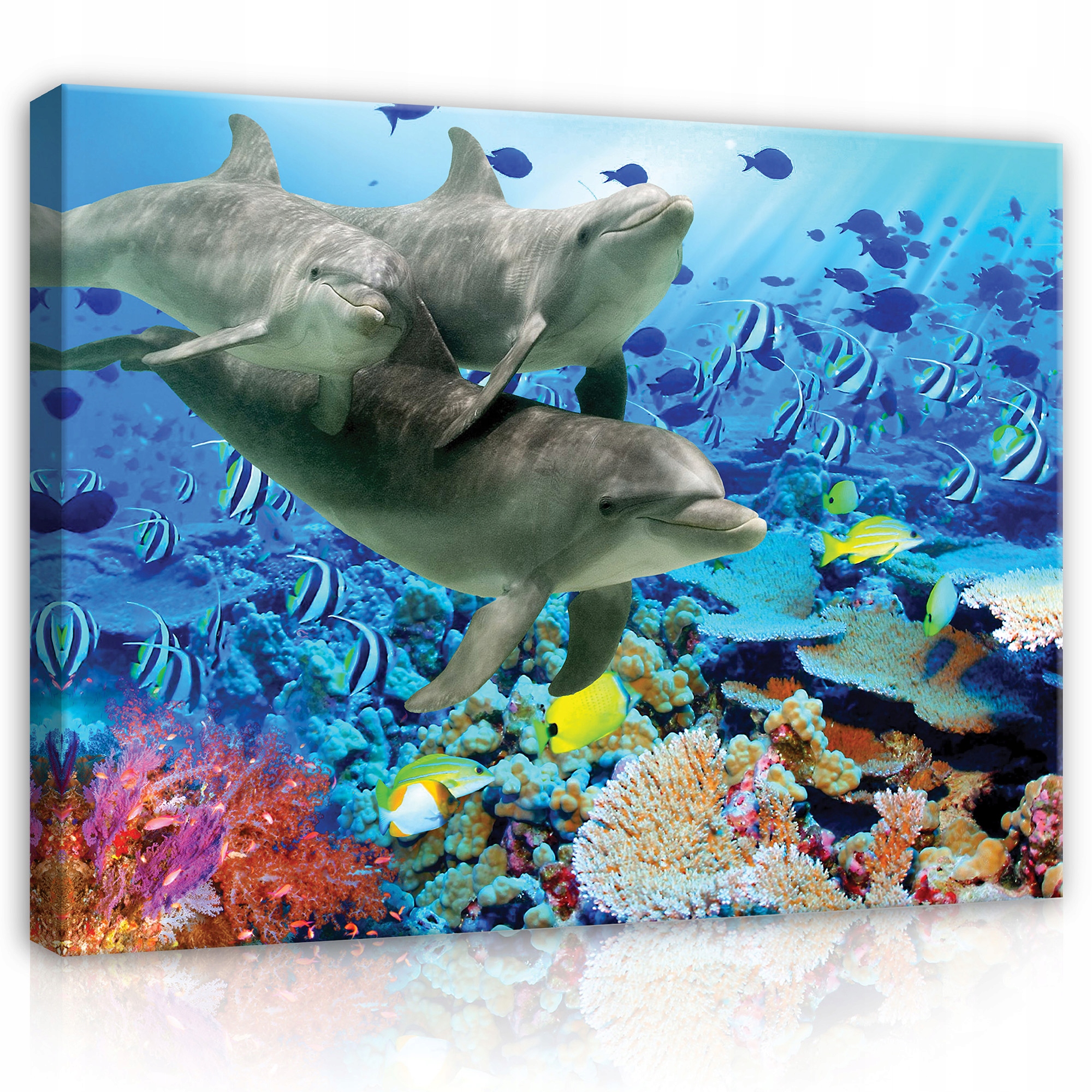 Obraz Pro Děti Delfíni Ryby Oceán Na Plátně Stěna Velký Dětský 100x70