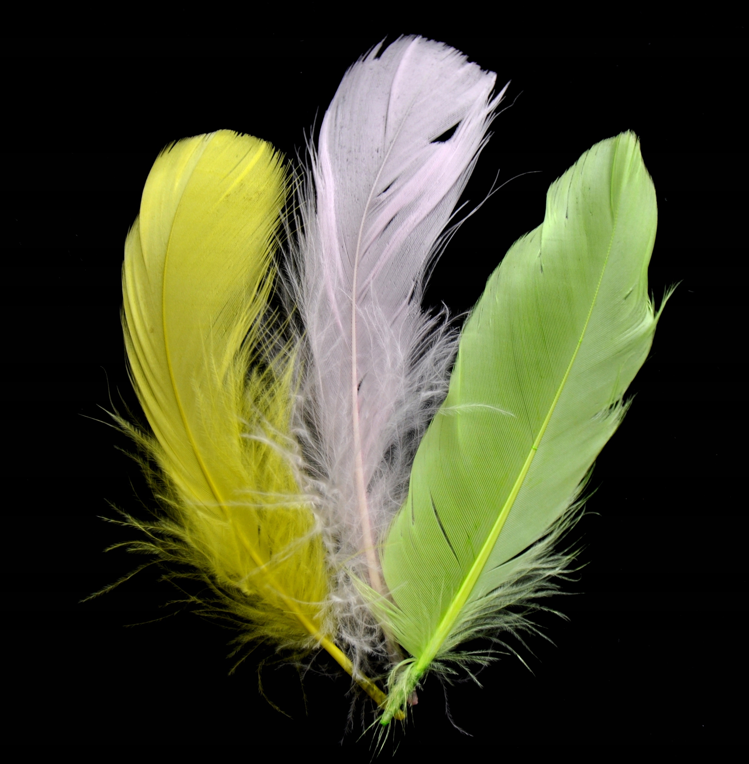 PIÓRKA 200 szt prawdziwe KOLOROWE ŚWIĘTA Marka inna