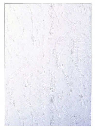 

Okładki Do Bindowania A4 Skóropodobne Białe 100szt