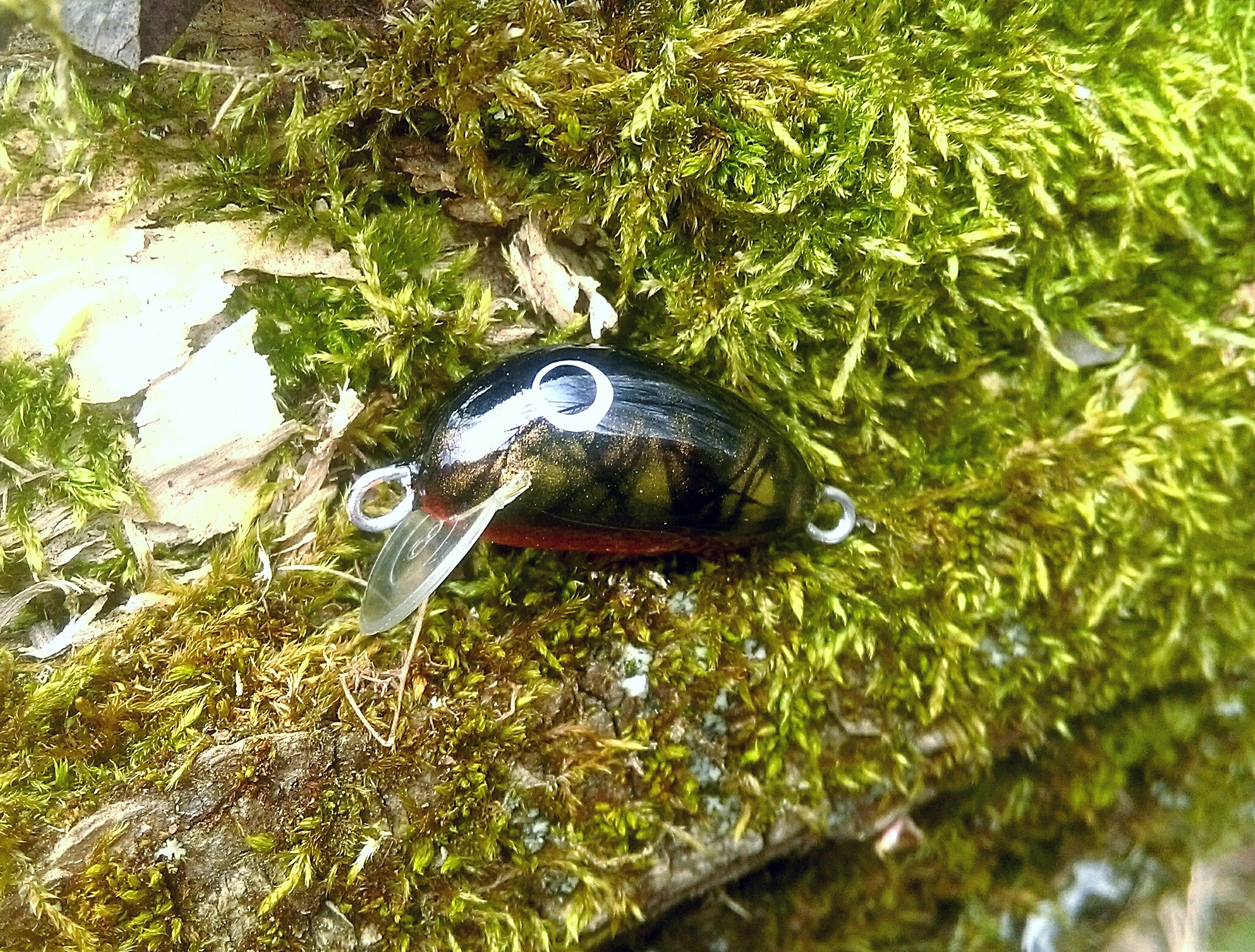 Wobler K.Słaby Osa 2,5cm Czarnuch Złoty szerszy st