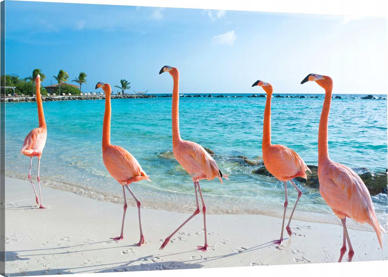 

Obraz Na Płótnie Flamingi Nad Morzem 90x60 980 Wz