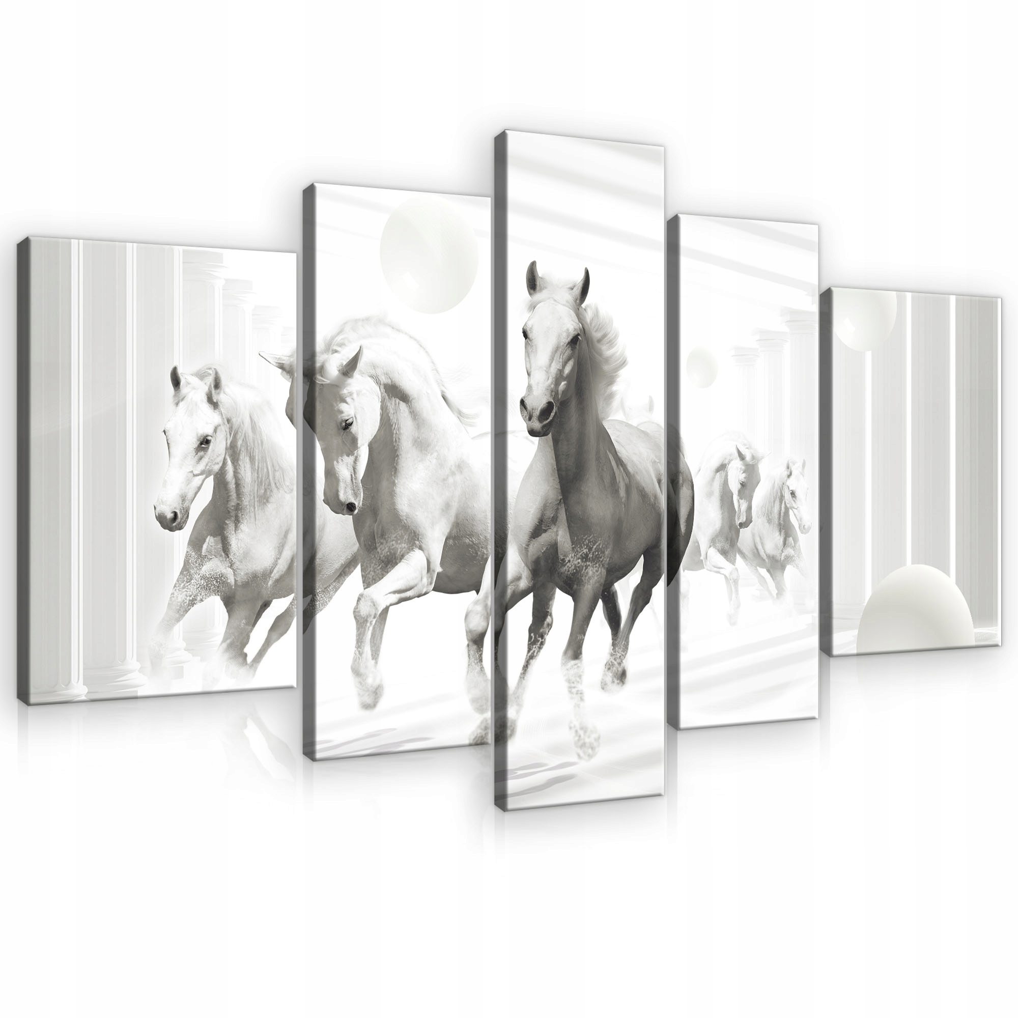Obraz Koně Bílé Moderní Na Plátně Stěna Ložnice Obývací Pokoj 170x100