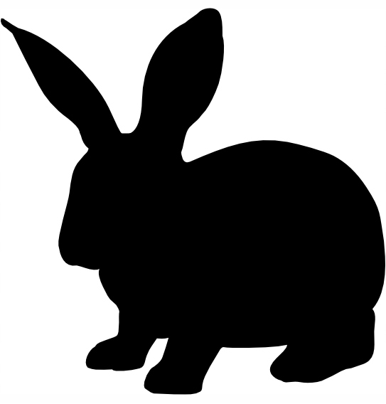 naklejka królik króliczek 15cm na samochód KOLORY