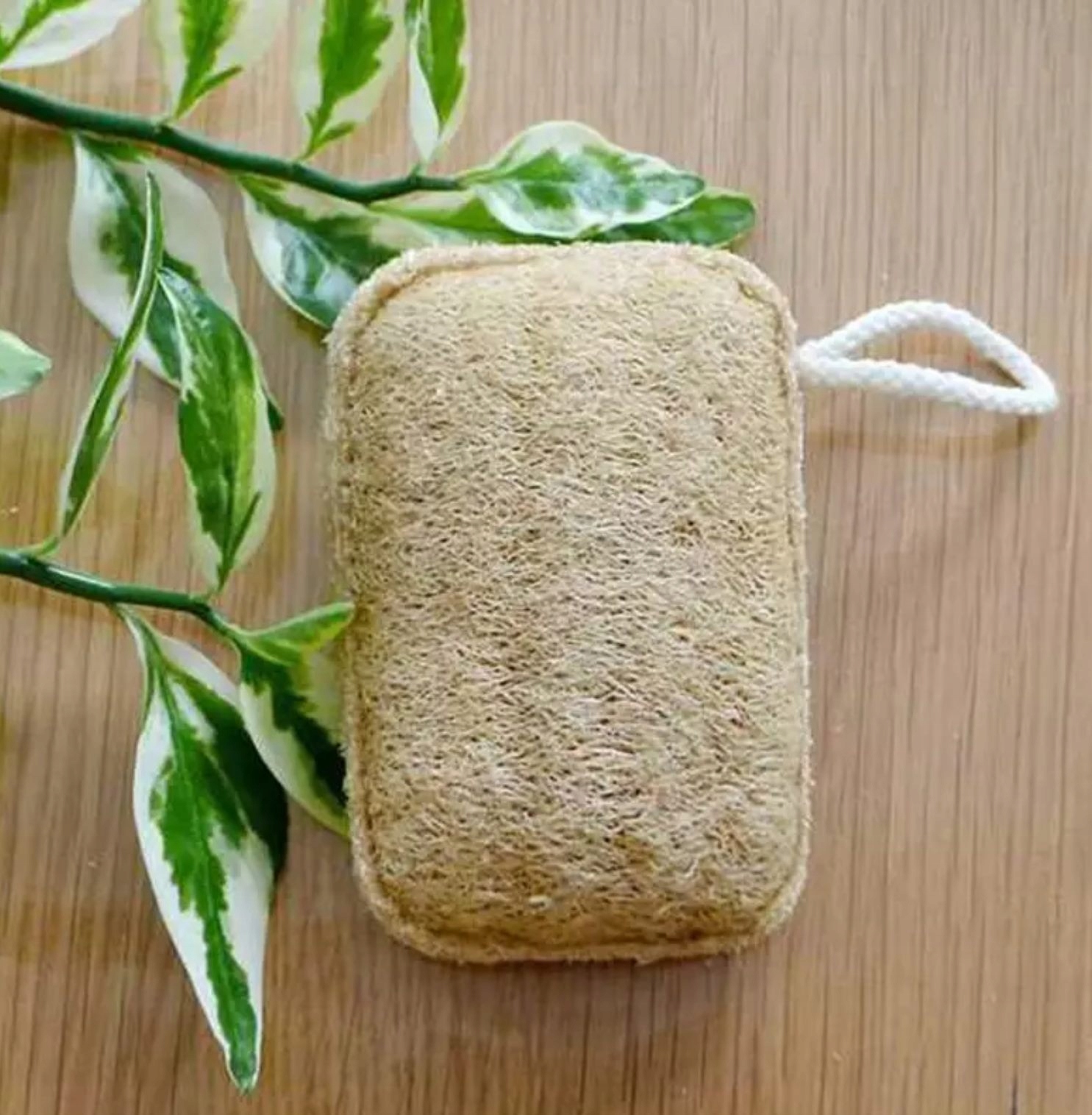 

Eko gąbka do naczyń naturalna do kuchni 2x -tlen-