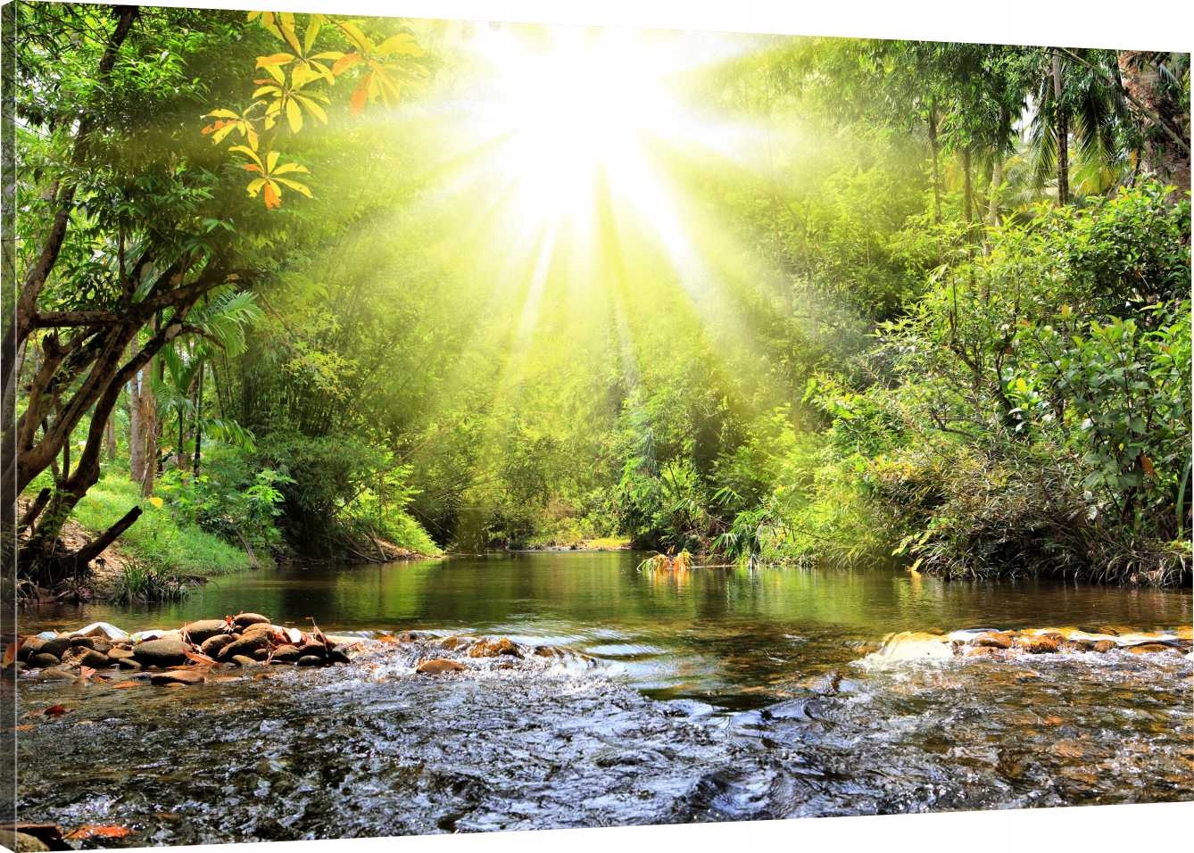 

Obraz Na Płótnie Słońce Las Woda 120x80 980 Wzorów