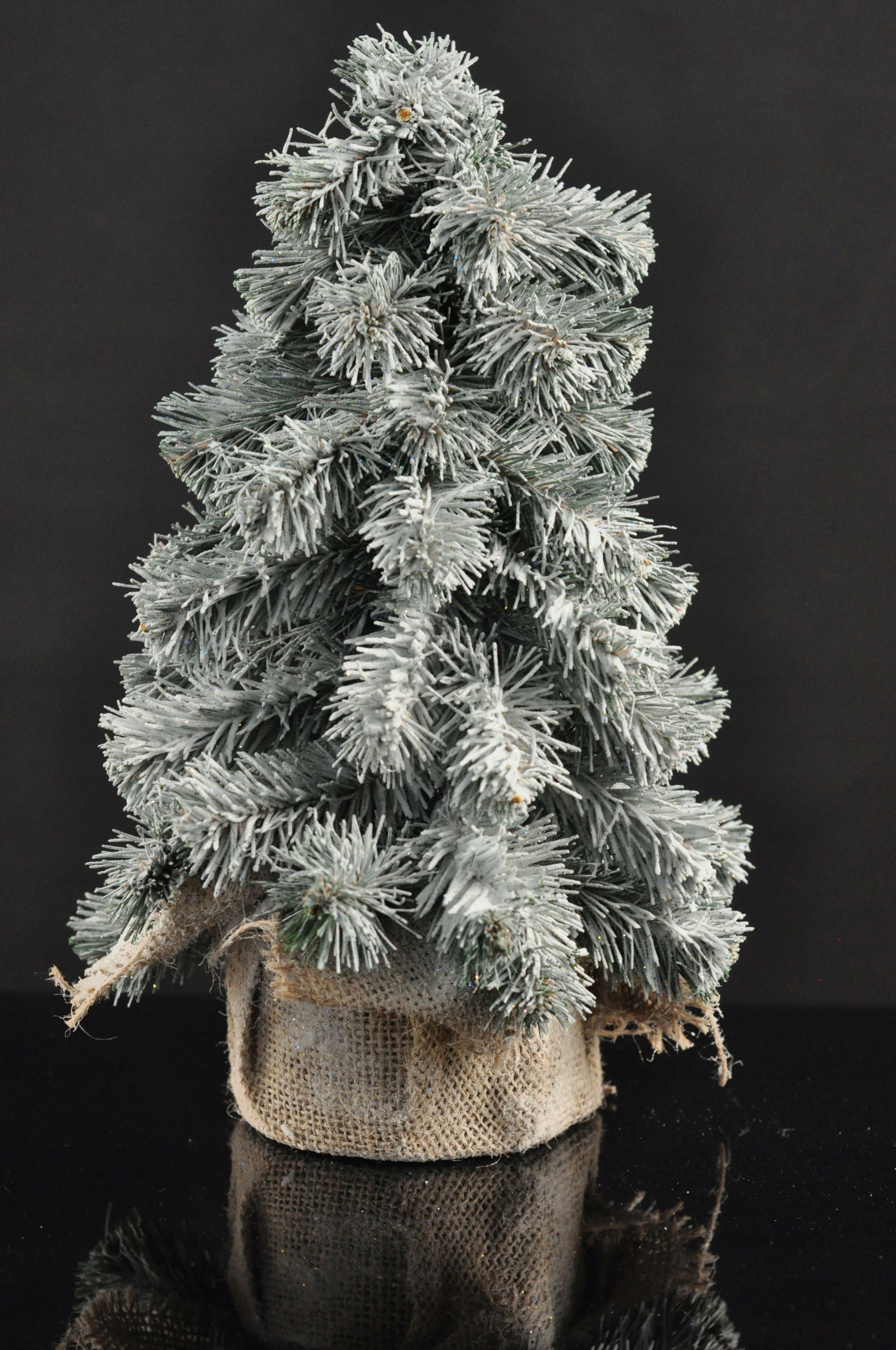 CHOINKA ŚWIERK SZRONIONA 30 CM Wysokość Do 100 cm