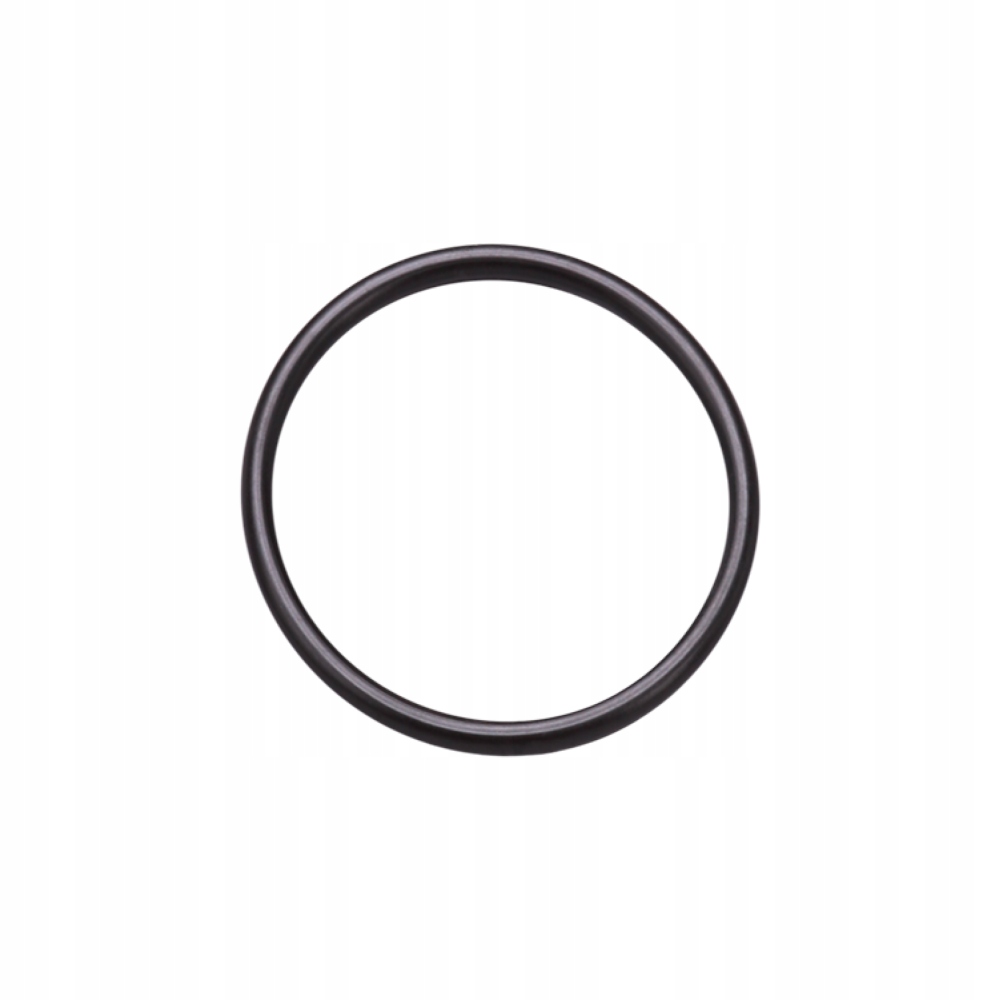 

Uszczelka O-Ring Odkurzacz Centralny