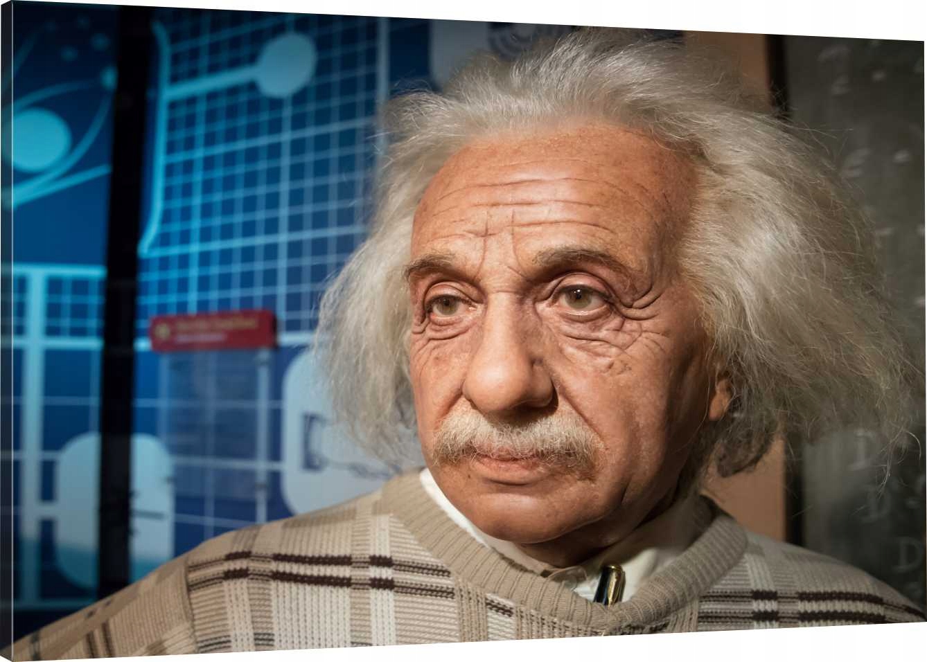 

Obraz Na Płótnie Albert Einstein 70x50 980 Wzorów