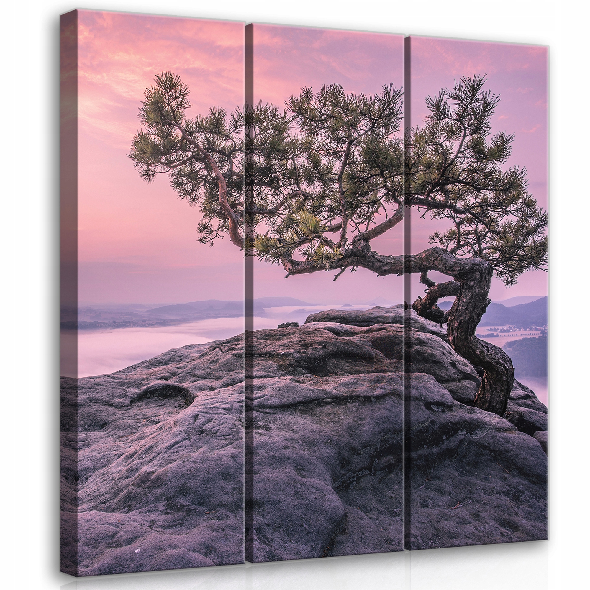 Obraz do obývacího pokoje Dřevo Hory velký XL triptych 90x100