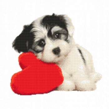 Vyšívací sada křížková, kanva mulina +jehly