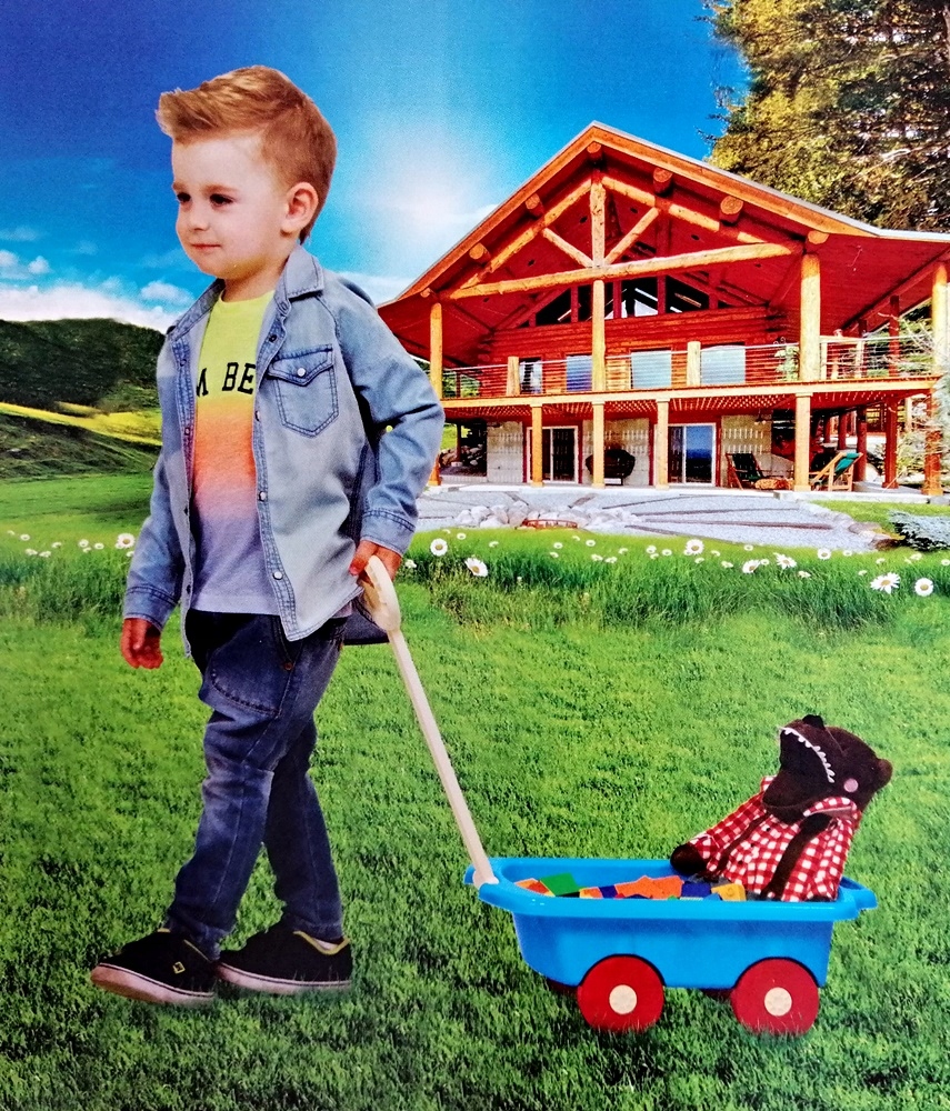 ZESTAW WÓZ TACZKA Z RĄCZKĄ + KLOCKI WAFLE MIX 60 EAN (GTIN) 5907760025418