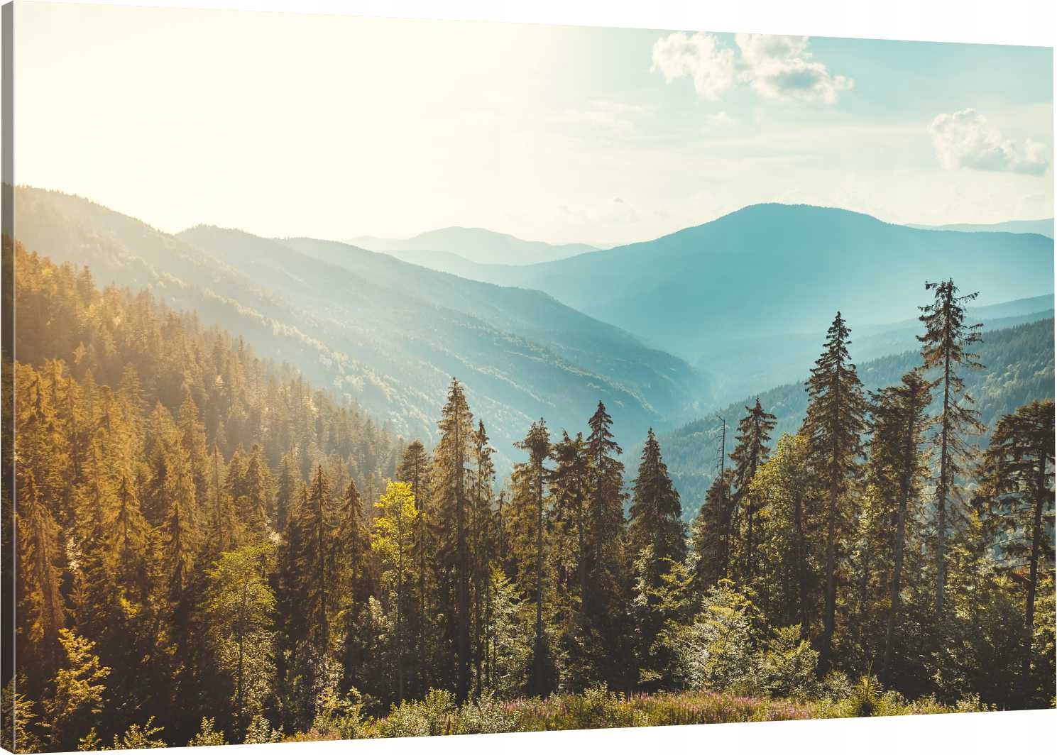 

Obraz Na Płótnie Góry Karpaty Wzgórza 100x70 Hit