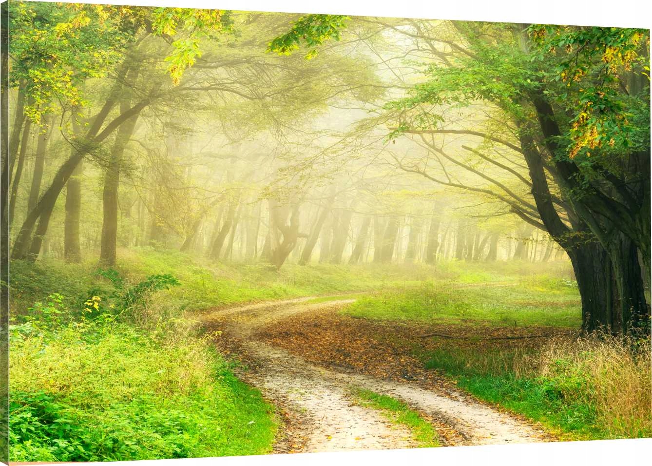 

Obraz Na Płótnie Dróżka Las Natura 110x70 980 Wz