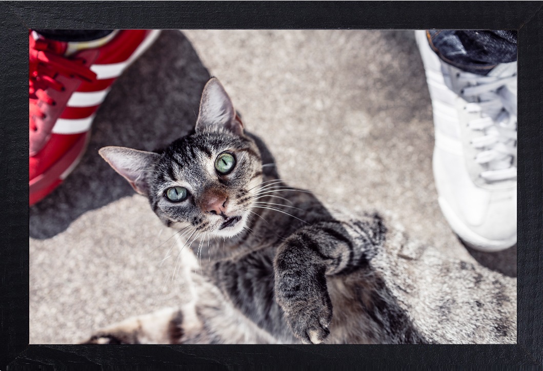 

Drewniana Ramka 24x18 Rama Czarna Na Zdjęcie A5