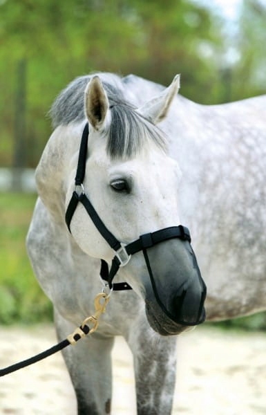 Maska na nos dla konia owadom Cob